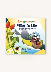 Vilkó és Lile 6. – Gyógyulj meg, Vilkó!