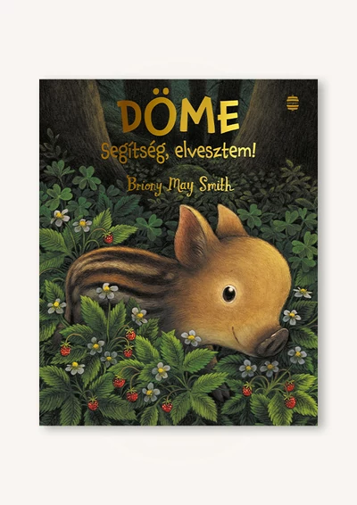 Döme – Segítség, elvesztem!