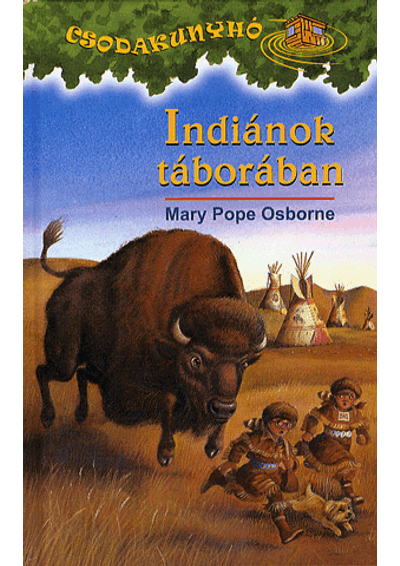 Indiánok táborában