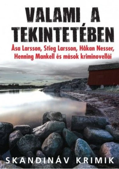 Valami a tekintetében - Svéd kriminovellák