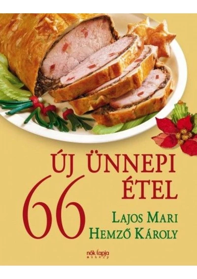 66 ÚJ ÜNNEPI ÉTEL