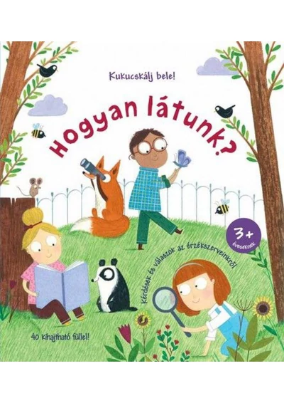 Hogyan látunk?
