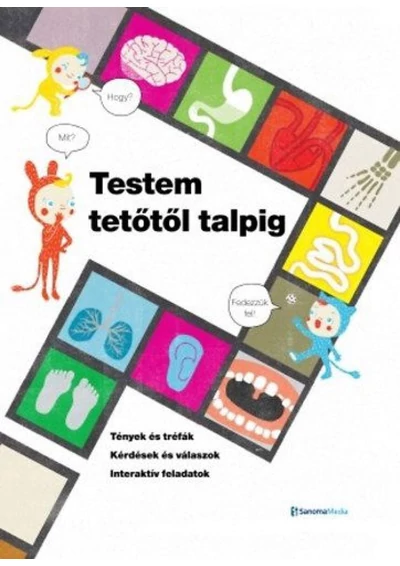 Testem tetőtől talpig